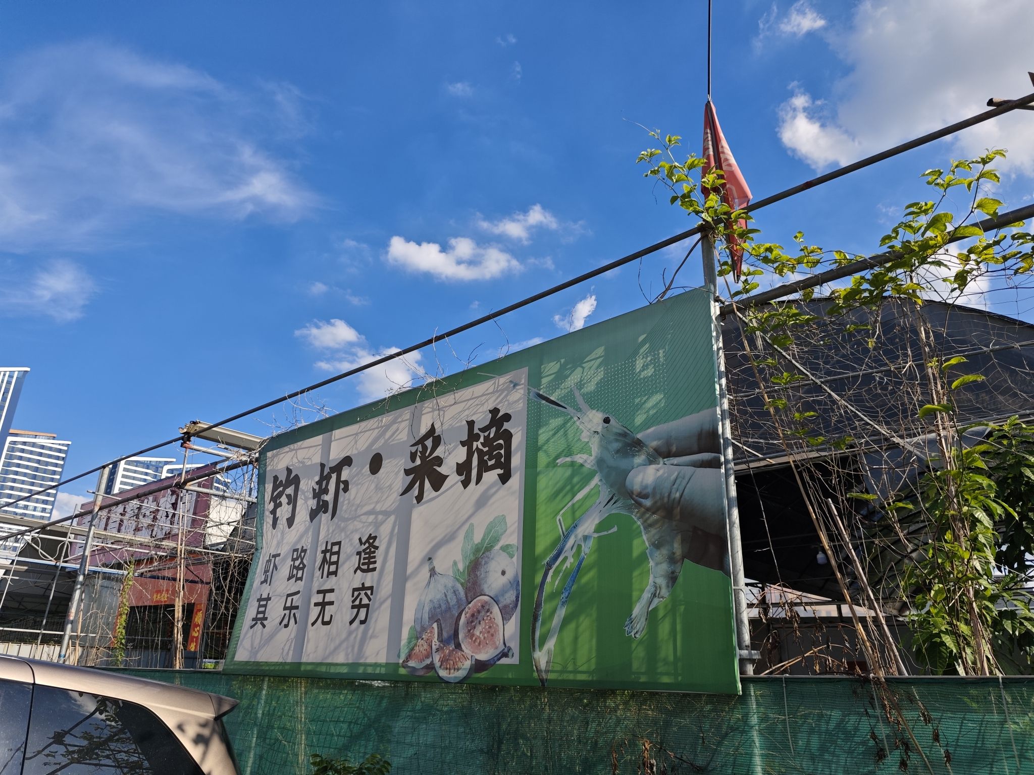 聚民钓虾场钓场环境照片