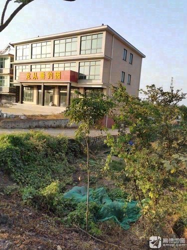 龙从垂钓园钓场环境照片
