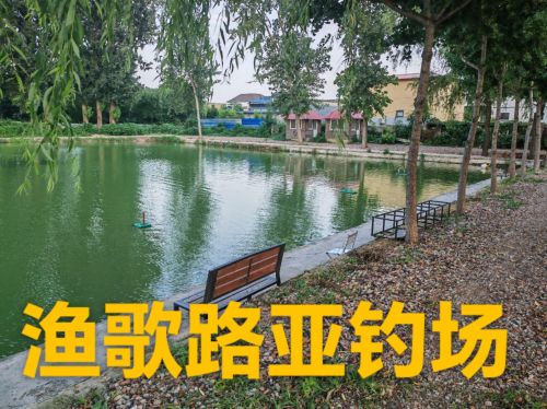 渔歌路亚钓场钓场环境照片