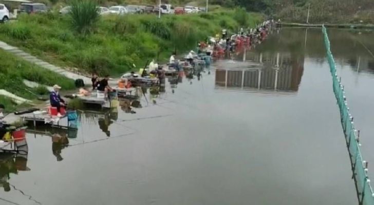 新蒲北师大鱼塘钓场环境照片