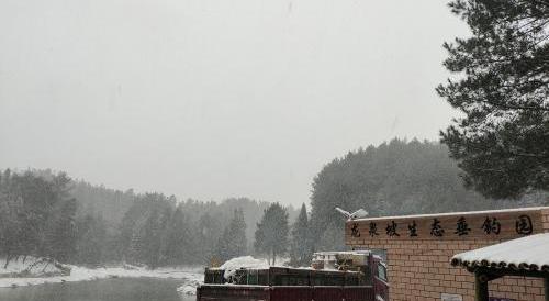 龙泉坡钓场钓场环境照片