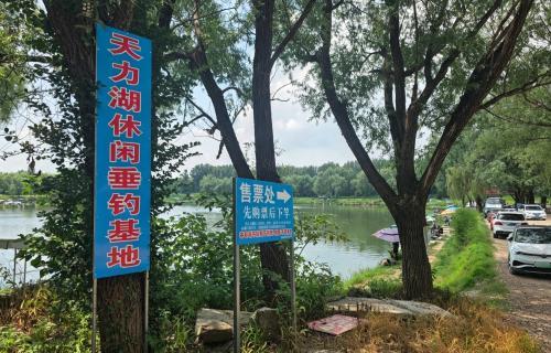 天力湖休闲垂钓基地钓场环境照片