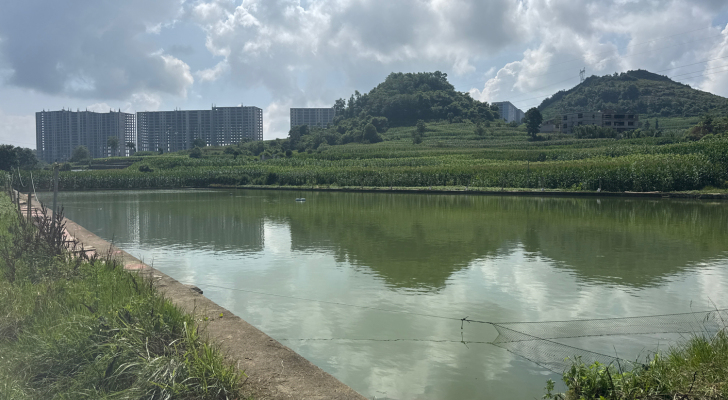 后山休闲垂钓钓场环境照片