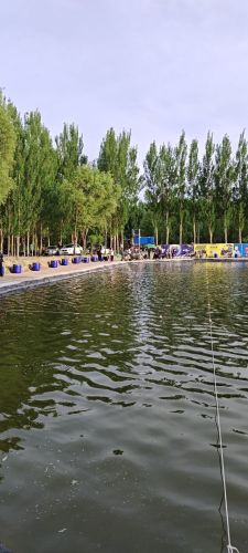 四方地昊天垂钓园钓场环境照片