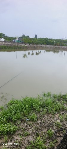 新得鱼垂钓基地钓场环境照片