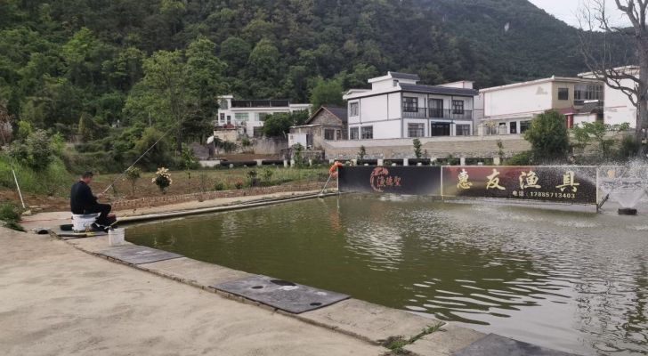 惠友垂钓园钓场环境照片