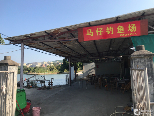 马仔钓鱼场钓场环境照片