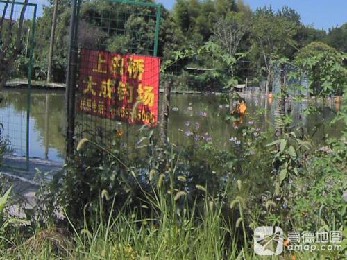 上田桥大成钓场钓场环境照片