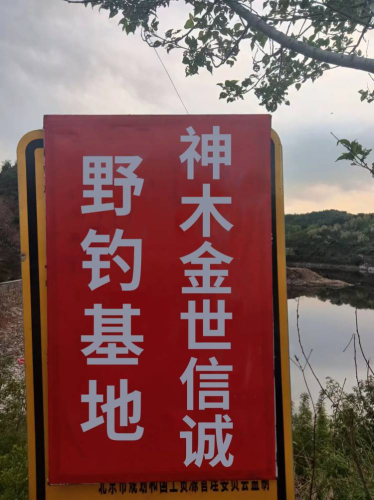 神木金世信诚野钓基地钓场环境照片
