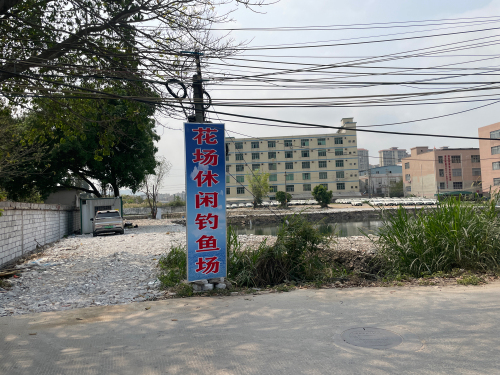 花场休闲钓鱼场钓场环境照片