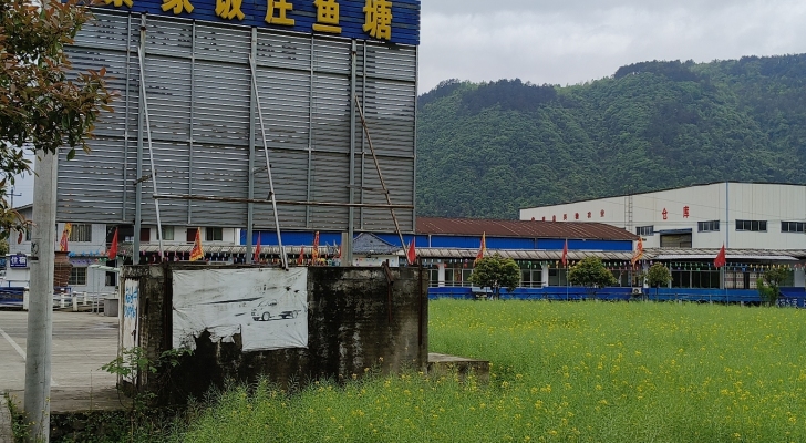 蔡家饭庄鱼塘钓场环境照片
