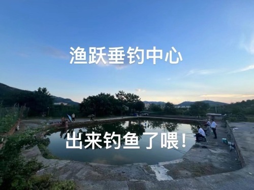济南渔跃垂钓中心钓场环境照片
