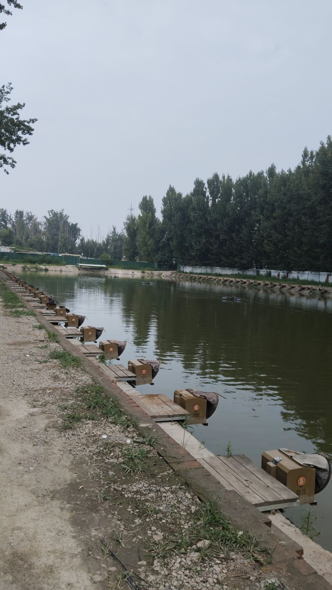 秦顺垂钓园钓场环境照片