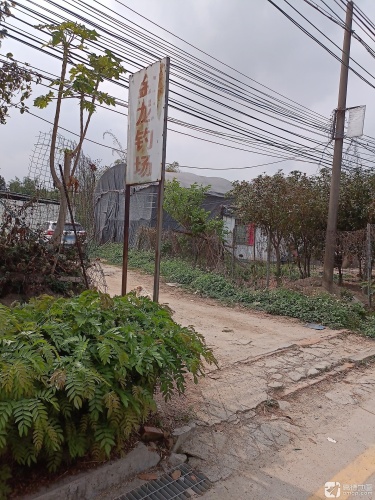 金龙钓鱼场钓场环境照片