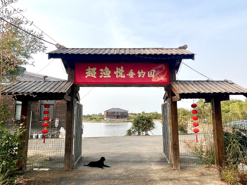 超渔悦垂钓园钓场环境照片