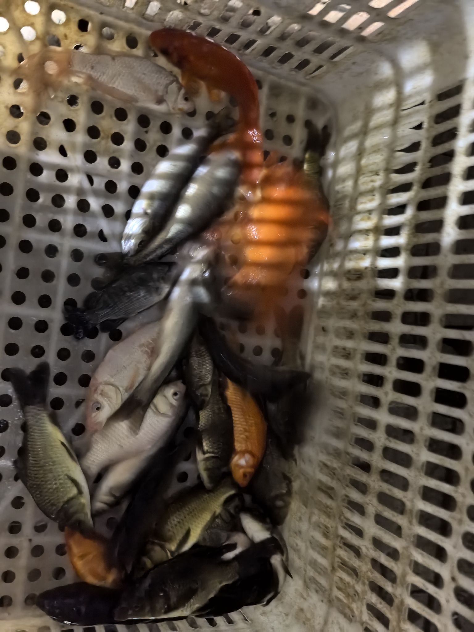 源发室内垂钓小物钓钓场环境照片