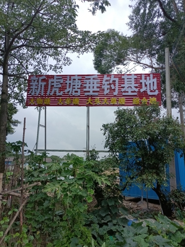新虎塘垂钓基地钓场环境照片