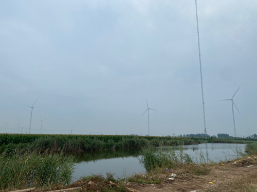 雨同渔乐垂钓园钓场环境照片