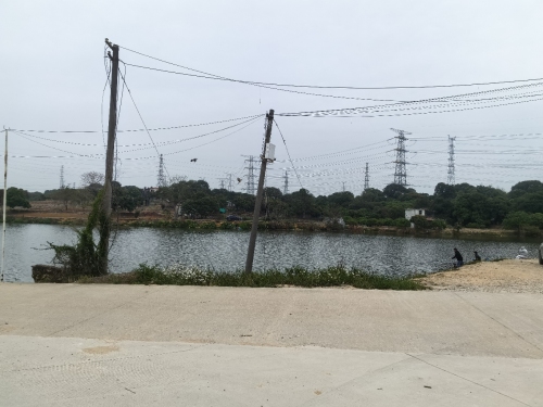 万田水库钓鱼场钓场环境照片