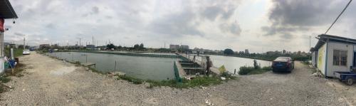 华记钓鱼场虎门北栅店钓场环境照片