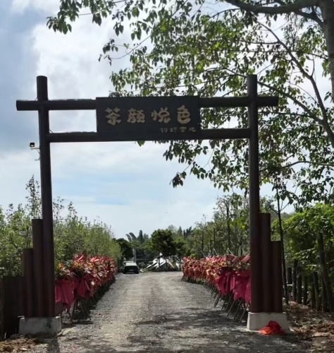 茶颜悦色钓虾营地钓场环境照片