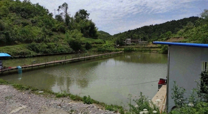 西坪恒宇休闲娱乐垂钓场钓场环境照片