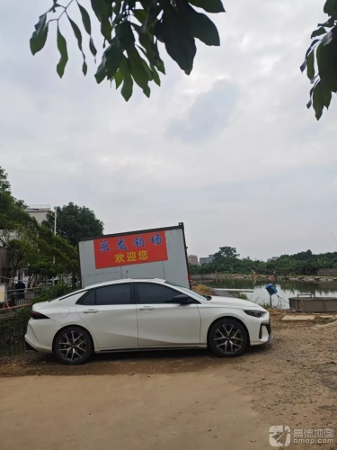 东升庆龙钓鱼场钓场环境照片
