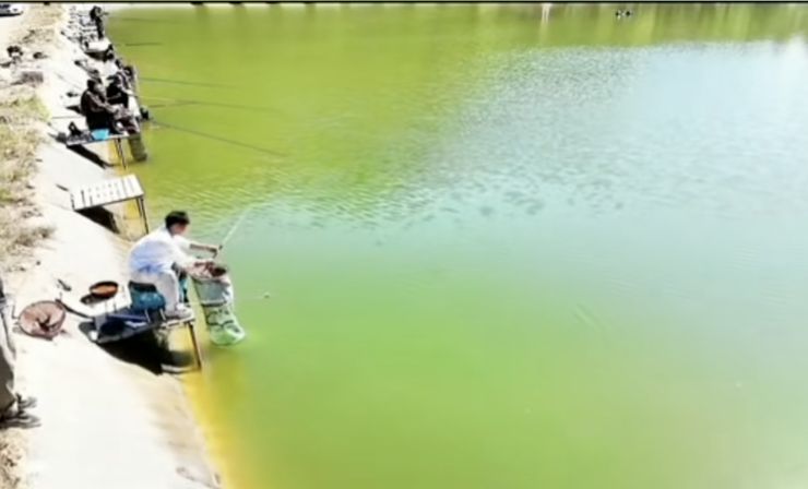 愚娱垂钓园钓场环境照片
