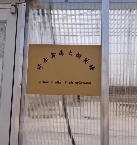 济南鑫海大棚钓场钓场环境照片