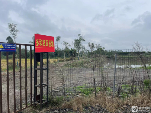 多和路亚基地钓场环境照片