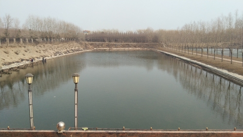 龙湖钓场钓场环境照片