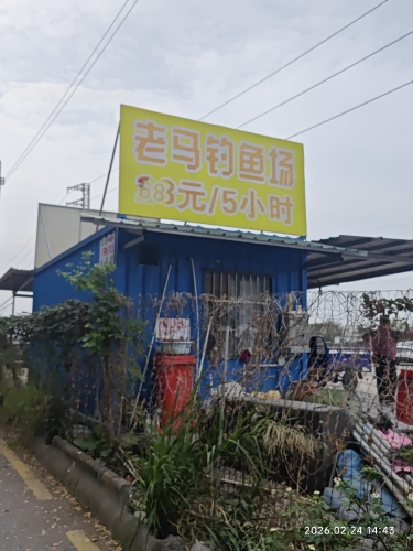 老马钓鱼场(顺德杏坛店)钓场环境照片