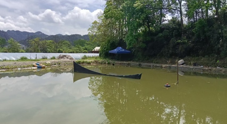 三穗中坝鱼塘钓场环境照片