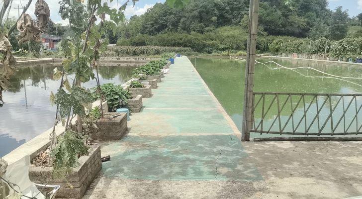 贵阳花溪亮宇源旅游有限公司钓场环境照片