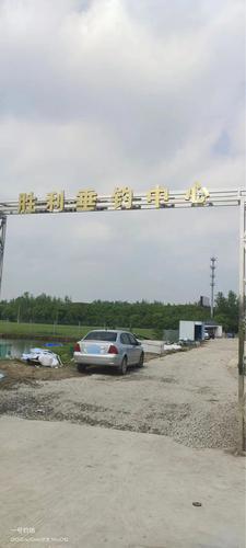 胜利垂钓中心钓场环境照片