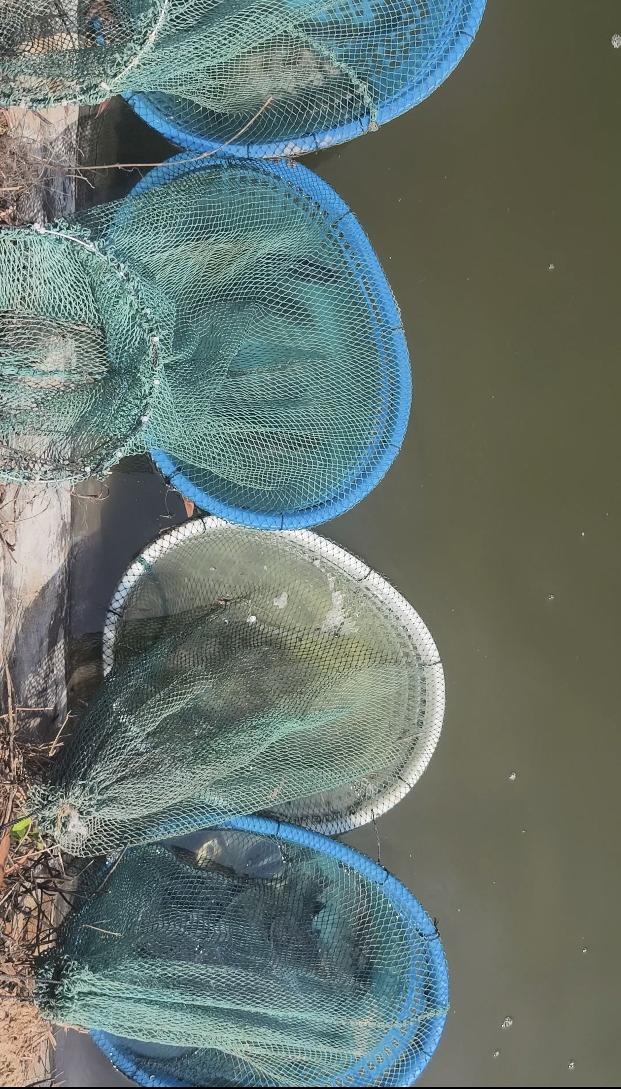 大鹏西涌海钓场钓场环境照片