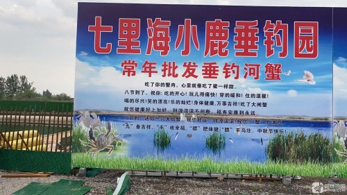 七里海小鹿垂钓园分店钓场环境照片