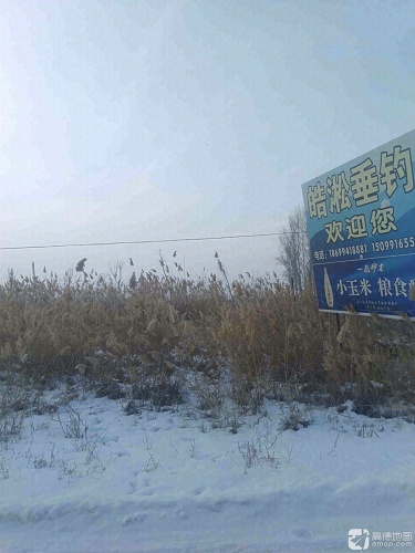 皓淞休闲垂钓园钓场环境照片