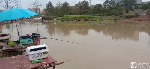 飞轮休闲钓场钓场环境照片