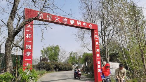 新桥大物垂钓中心钓场环境照片