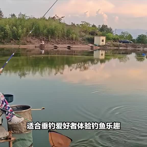 衢州市大塘垄钓场钓场环境照片