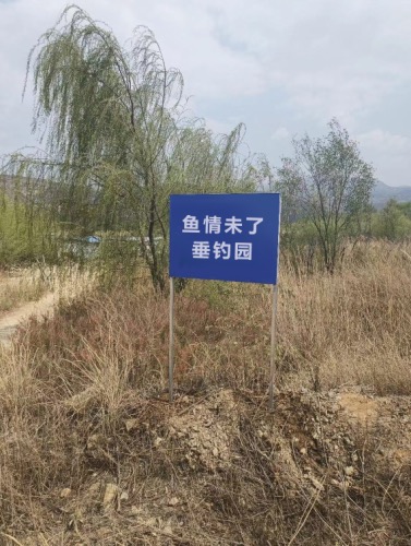 阳谷鱼情未了垂钓园钓场环境照片