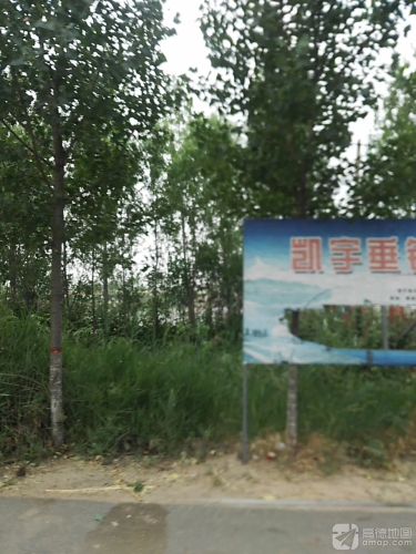 凯宇垂钓园钓场环境照片