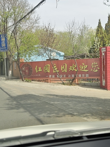 红圃庄园钓场环境照片
