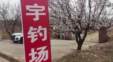 小宇钓场钓场环境照片