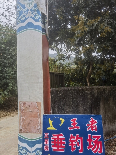 王者垂钓场钓场环境照片