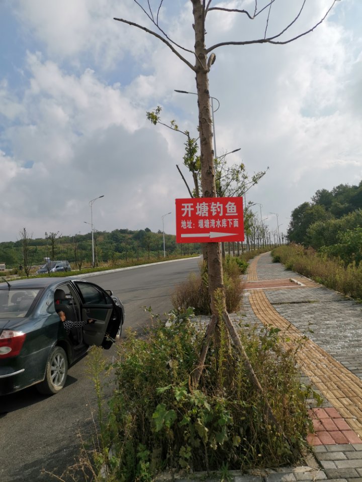 堰塘湾垂钓园钓场环境照片