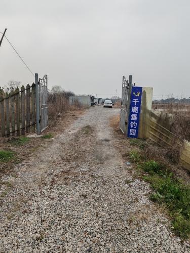 千鹿垂钓园钓场环境照片