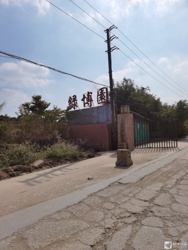 绿博园钓场环境照片
