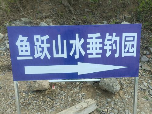 鱼跃山水垂钓园钓场环境照片